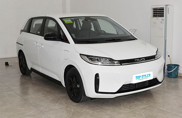 Основная информация о максимальной скорости BYD D1?